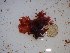  ( - GWS025428)  @11 [ ] Unspecified (default): All Rights Reserved  Unspecified Unspecified