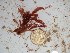  ( - GWS025450)  @11 [ ] Unspecified (default): All Rights Reserved  Unspecified Unspecified
