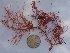  ( - GWS025547)  @11 [ ] Unspecified (default): All Rights Reserved  Unspecified Unspecified
