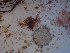  ( - GWS025596)  @11 [ ] Unspecified (default): All Rights Reserved  Unspecified Unspecified