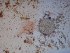  ( - GWS025604)  @12 [ ] Unspecified (default): All Rights Reserved  Unspecified Unspecified