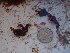  ( - GWS025616)  @11 [ ] Unspecified (default): All Rights Reserved  Unspecified Unspecified