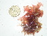  ( - GWS025669)  @11 [ ] Unspecified (default): All Rights Reserved  Unspecified Unspecified