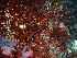  ( - GWS032252)  @11 [ ] Unspecified (default): All Rights Reserved  Unspecified Unspecified