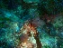  ( - GWS032286)  @11 [ ] Unspecified (default): All Rights Reserved  Unspecified Unspecified