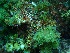  ( - GWS032292)  @11 [ ] Unspecified (default): All Rights Reserved  Unspecified Unspecified