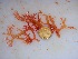  ( - GWS032484)  @11 [ ] Unspecified (default): All Rights Reserved  Unspecified Unspecified