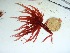  ( - GWS032549)  @11 [ ] Unspecified (default): All Rights Reserved  Unspecified Unspecified
