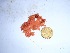  ( - GWS032594)  @11 [ ] Unspecified (default): All Rights Reserved  Unspecified Unspecified