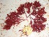  ( - GWS032621)  @11 [ ] Unspecified (default): All Rights Reserved  Unspecified Unspecified