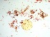  ( - GWS032660)  @11 [ ] Unspecified (default): All Rights Reserved  Unspecified Unspecified