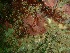  ( - GWS032737)  @11 [ ] Unspecified (default): All Rights Reserved  Unspecified Unspecified
