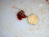  ( - GWS033832)  @11 [ ] Unspecified (default): All Rights Reserved  Unspecified Unspecified