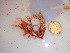  ( - GWS034386)  @11 [ ] Unspecified (default): All Rights Reserved  Unspecified Unspecified