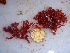  ( - GWS034421)  @11 [ ] Unspecified (default): All Rights Reserved  Unspecified Unspecified