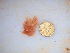  ( - GWS034532)  @11 [ ] Unspecified (default): All Rights Reserved  Unspecified Unspecified