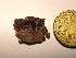  ( - GWS034621)  @11 [ ] Unspecified (default): All Rights Reserved  Unspecified Unspecified
