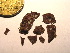  ( - GWS034635)  @11 [ ] Unspecified (default): All Rights Reserved  Unspecified Unspecified
