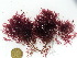  ( - GWS034937)  @11 [ ] Unspecified (default): All Rights Reserved  Unspecified Unspecified