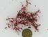  ( - GWS034952)  @11 [ ] Unspecified (default): All Rights Reserved  Unspecified Unspecified