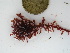  (Erythroclonium - GWS034963)  @11 [ ] Unspecified (default): All Rights Reserved  Unspecified Unspecified