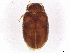  ( - BIOUG02856-C03)  @11 [ ] CreativeCommons - Attribution Share-Alike (2024) CBG Photography Group Centre for Biodiversity Genomics