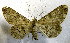  ( - USNM ENT 00643433)  @13 [ ] Unspecified (default): All Rights Reserved  Unspecified Unspecified