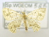 (Synegia sp - USNM ENT 00720892)  @13 [ ] Unspecified (default): All Rights Reserved  Unspecified Unspecified