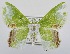 ( - USNM ENT 00720998)  @13 [ ] Unspecified (default): All Rights Reserved  Unspecified Unspecified