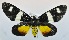  ( - USNM ENT 00722465)  @13 [ ] Unspecified (default): All Rights Reserved  Unspecified Unspecified