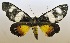  ( - USNM ENT 00722504)  @14 [ ] Unspecified (default): All Rights Reserved  Unspecified Unspecified