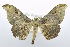  ( - USNM ENT 00722810)  @12 [ ] Unspecified (default): All Rights Reserved  Unspecified Unspecified