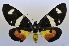  ( - USNM ENT 00723058)  @13 [ ] Unspecified (default): All Rights Reserved  Unspecified Unspecified