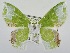  ( - USNM ENT 00729226)  @13 [ ] Unspecified (default): All Rights Reserved  Unspecified Unspecified