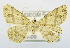  ( - USNM ENT 00729801)  @13 [ ] Unspecified (default): All Rights Reserved  Unspecified Unspecified