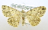  ( - USNM ENT 00729837)  @13 [ ] Unspecified (default): All Rights Reserved  Unspecified Unspecified