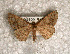  ( - USNM ENT 00722367)  @13 [ ] Unspecified (default): All Rights Reserved  Unspecified Unspecified