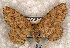  ( - USNM ENT 00729112)  @14 [ ] Unspecified (default): All Rights Reserved  Unspecified Unspecified