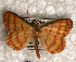  ( - USNM ENT 00729771)  @13 [ ] Unspecified (default): All Rights Reserved  Unspecified Unspecified