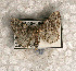  ( - USNM ENT 00729839)  @13 [ ] Unspecified (default): All Rights Reserved  Unspecified Unspecified