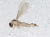  ( - BIOUG02865-C02)  @12 [ ] CreativeCommons - Attribution (2013) CBG Photography Group Centre for Biodiversity Genomics