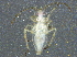  ( - BIOUG02844-E04)  @12 [ ] CreativeCommons - Attribution (2012) CBG Photography Group Centre for Biodiversity Genomics