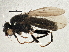  ( - BIOUG02848-D09)  @13 [ ] CreativeCommons - Attribution (2013) CBG Photography Group Centre for Biodiversity Genomics