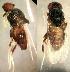  (Siphunculina striolata - PAL-0287)  @11 [ ] No Rights Reserved (2019) Unspecified UCSB