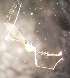  ( - PAL-0331)  @11 [ ] No Rights Reserved (2019) Unspecified UCSB