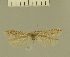  ( - TLMF Lep 28356)  @11 [ ] CreativeCommons - Attribution Non-Commercial Share-Alike (2020) Oleksiy Bidzilya Institute for the Evolutionary Ecology NAS Ukraie