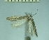  ( - TLMF Lep 28390)  @11 [ ] CreativeCommons - Attribution Non-Commercial Share-Alike (2020) Oleksiy Bidzilya Institute for the Evolutionary Ecology NAS Ukraie