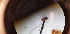  (Ficiomyia - MIDGE2)  @11 [ ] nrr (2023) Unspecified Uppsala University