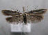  ( - MM26200)  @11 [ ] CreativeCommons - Attribution Non-Commercial (2019) Jukka Tabell University of Oulu