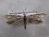 ( - MM26228)  @11 [ ] CreativeCommons - Attribution Non-Commercial (2019) Jukka Tabell University of Oulu